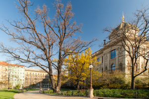 National Museum - surrounding area